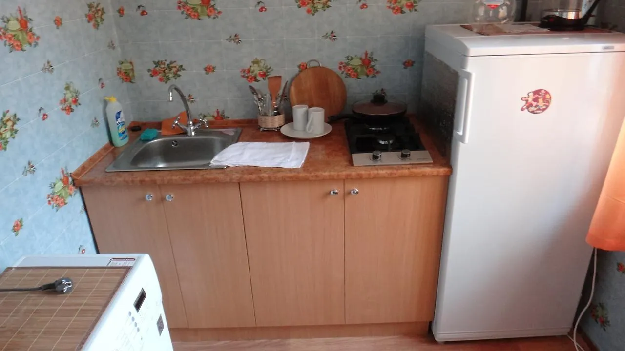 Apartment Near The Central Railway Station 키예프